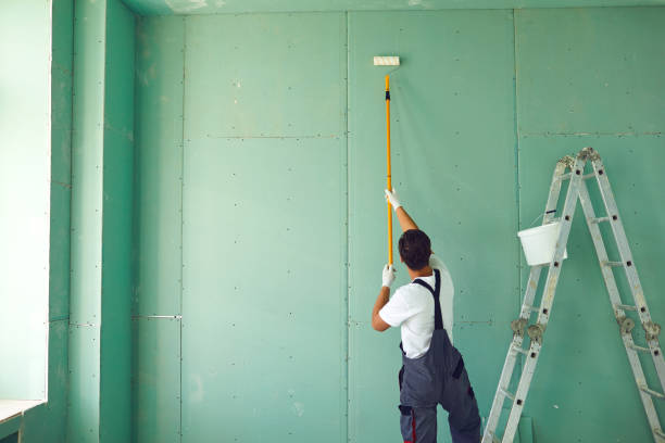 Best HVAC Mold Inspection and Cleaning  in Davis Junction, IL