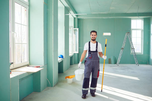 Reliable Davis Junction, IL Mold Removal Solutions