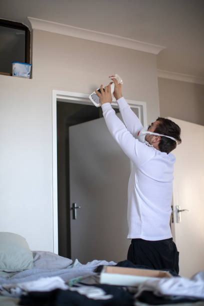 Best Environmental Consulting for Mold Prevention  in Davis Junction, IL