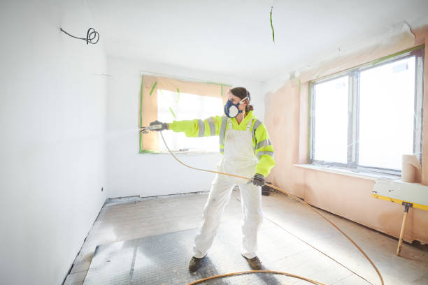 Best Industrial Mold Remediation  in Davis Junction, IL