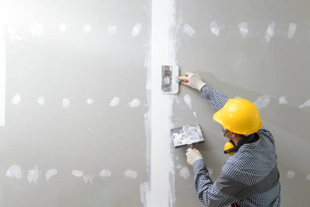 Best Comprehensive Air Testing for Mold Contaminants  in Davis Junction, IL