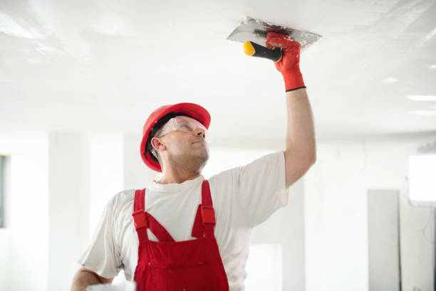 Best Mold Documentation for Insurance Claims  in Davis Junction, IL