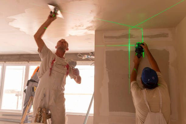 Best Comprehensive Air Testing for Mold Contaminants  in Davis Junction, IL