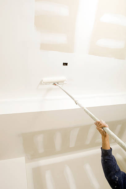Best Mold Prevention Services  in Davis Junction, IL